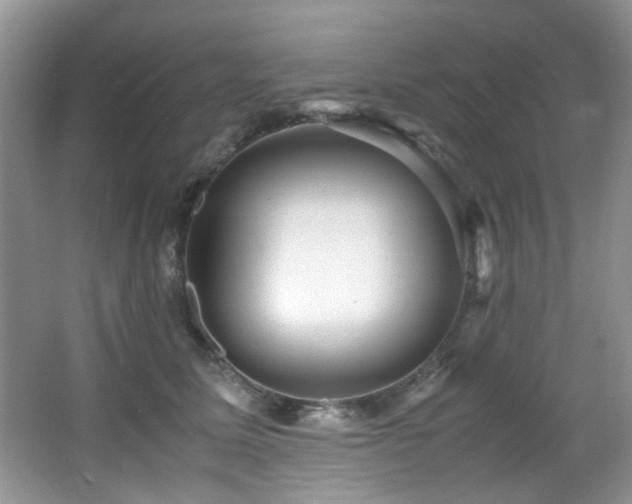 X0000066020611200603031251