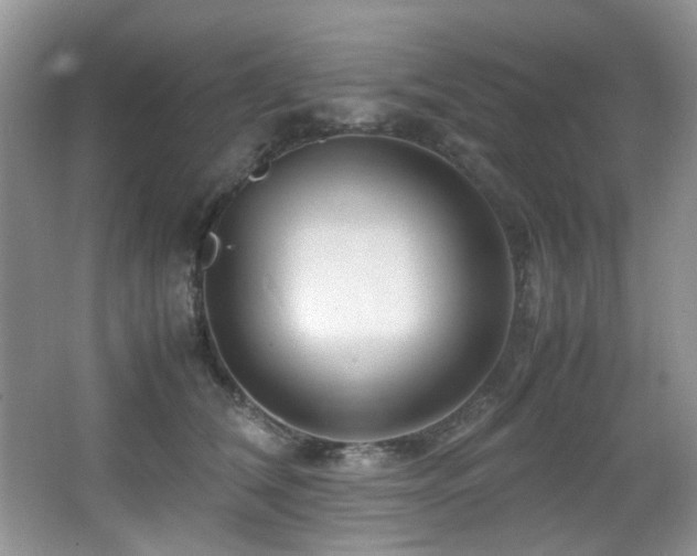 X0000066020612200603031251