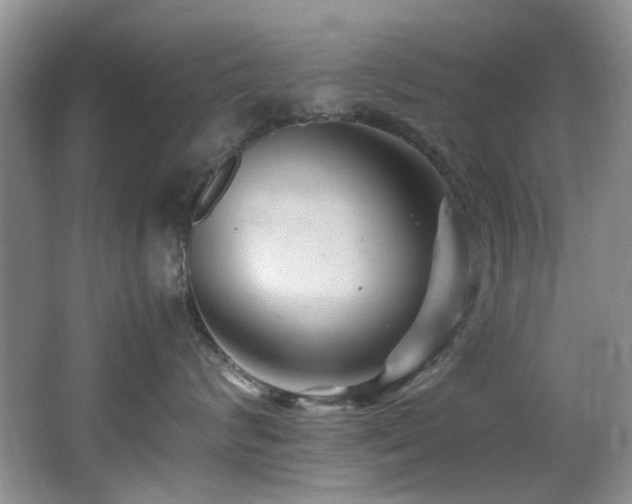 X0000066020624200603031251