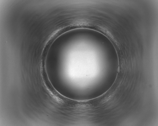 X0000066020629200603031250