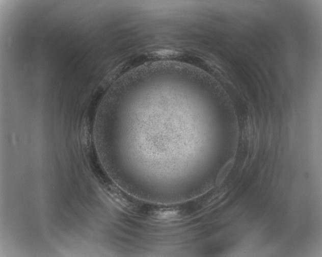 X0000066020651200603031250