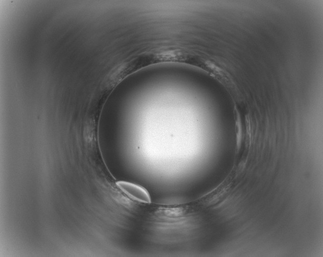 X0000066020665200603031250