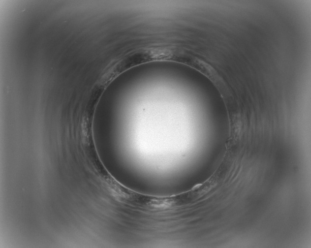 X0000066020667200603031250