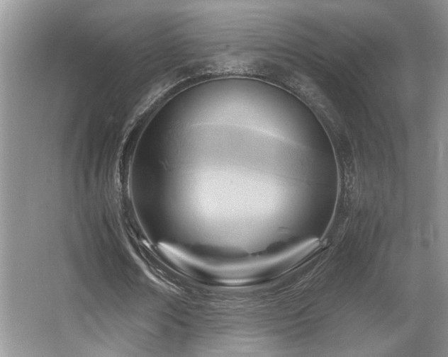X0000066020674200603031250