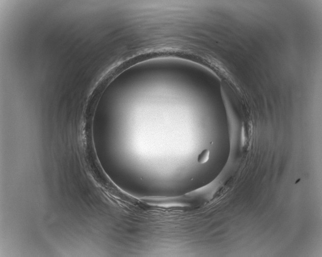 X0000066020676200603031250