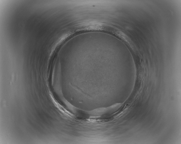 X0000066020677200603031250