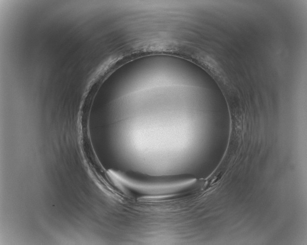 X0000066020678200603031250
