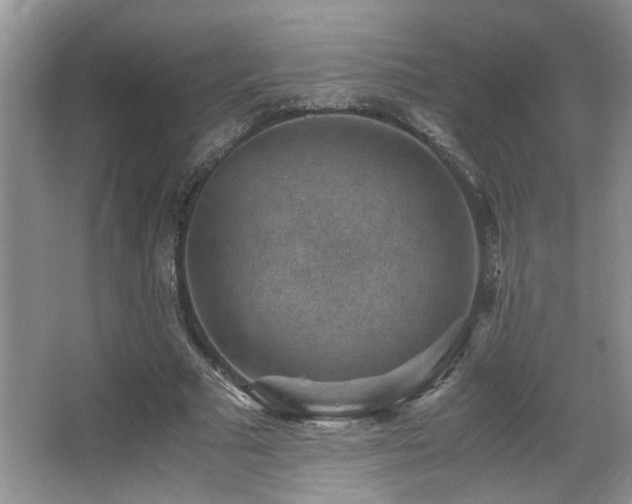 X0000066020681200603031250