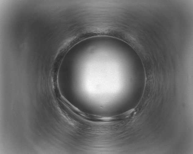 X0000066020688200603031249