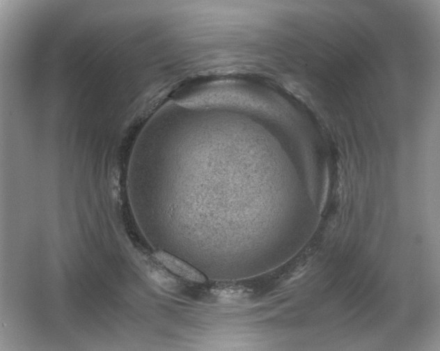 X0000066020693200603031249
