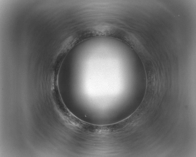 X0000066020694200603031249