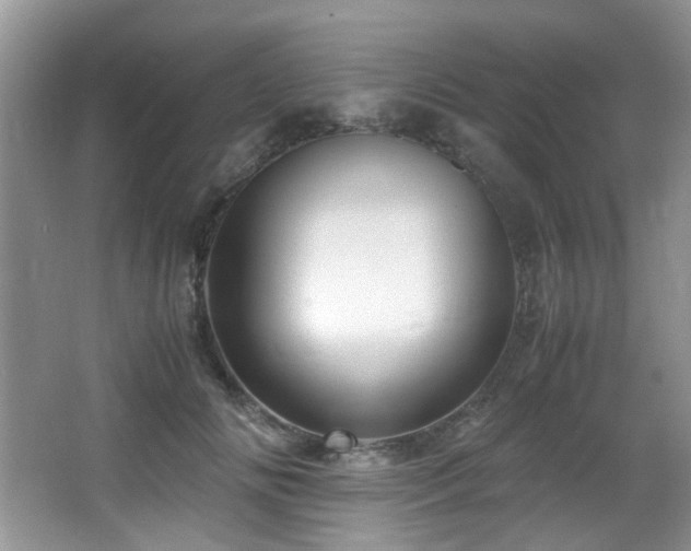 X0000066020702200603031249