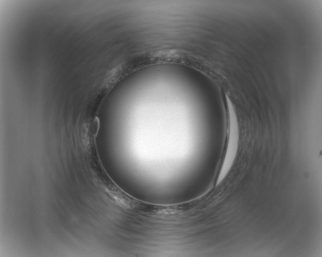 X0000066020708200603031249