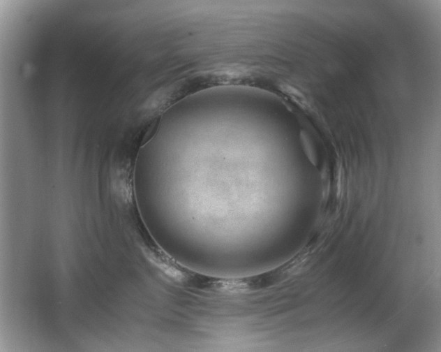 X0000066020719200603031249