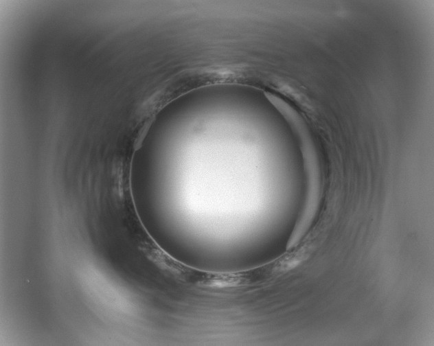 X0000066020720200603031249