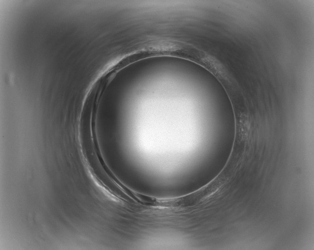 X0000066020726200603031248