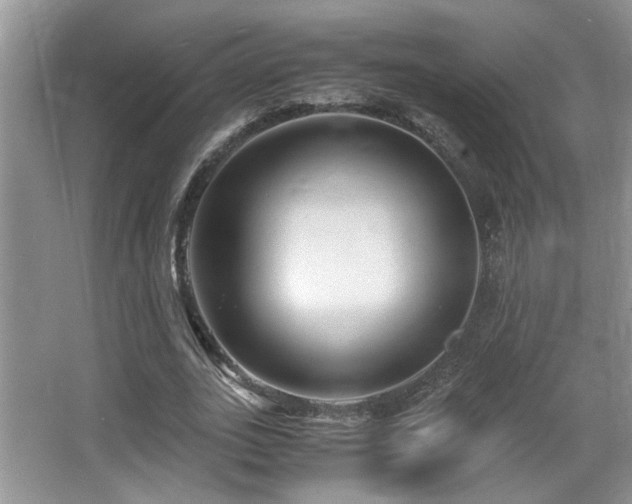 X0000066020727200603031248