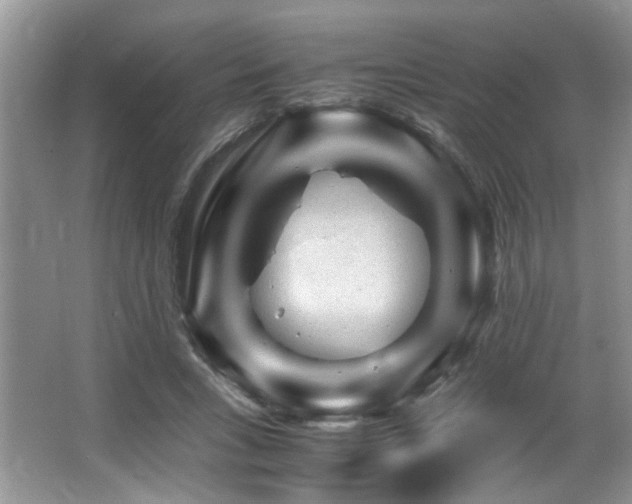 X0000066020735200603031248