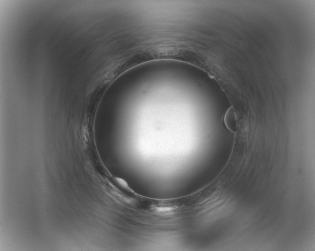 X0000066020746200603031249