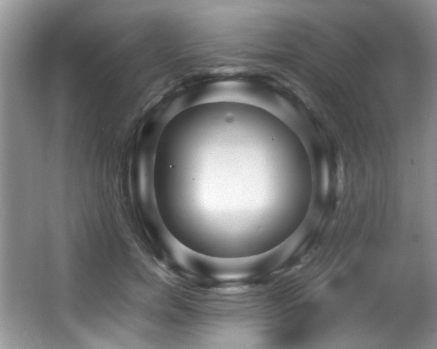 X0000066020750200603031249
