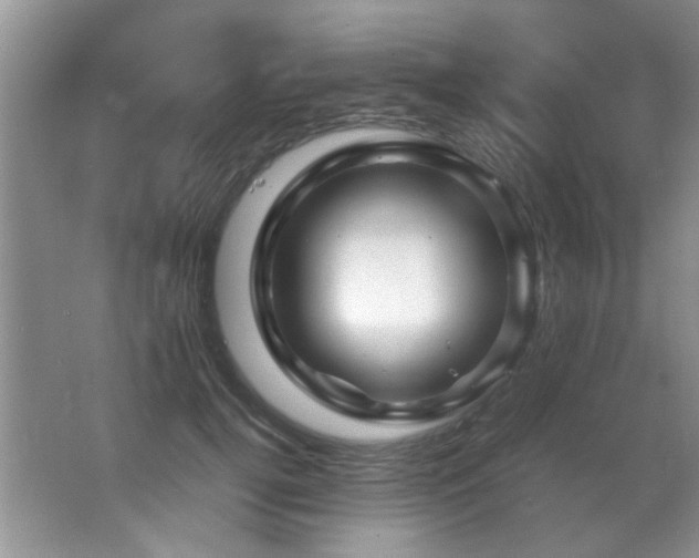 X0000066020752200603031249