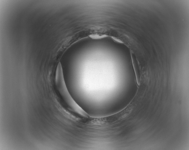 X0000066020756200603031249