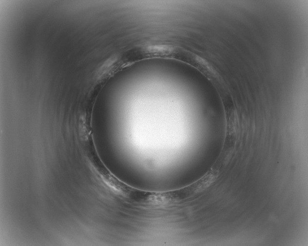 X0000066020764200603031249