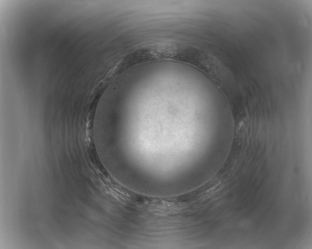 X0000066020772200603031248