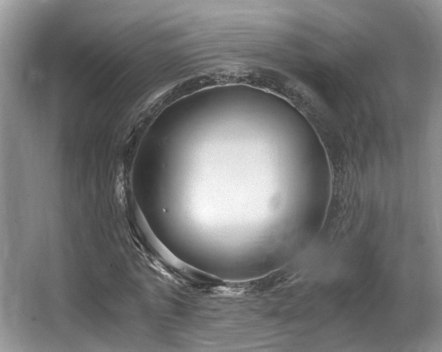 X0000066020773200603031248