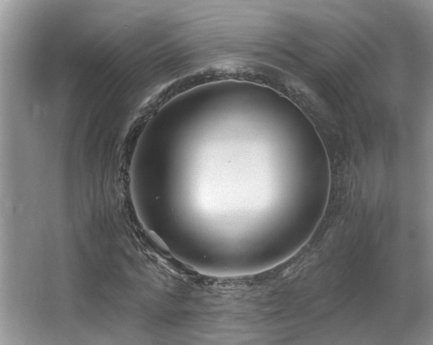 X0000066020776200603031248