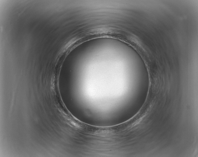 X0000066020778200603031248
