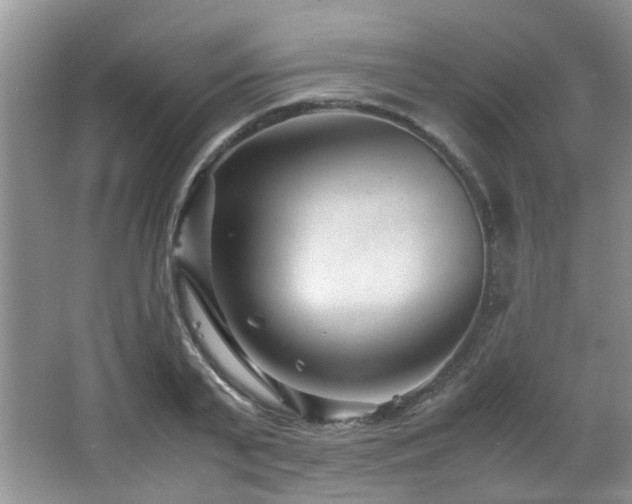X0000066020791200603031248