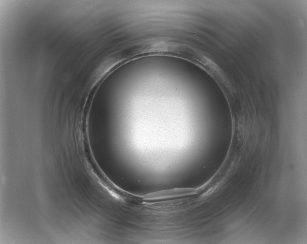 X0000066020794200603031248