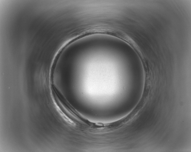 X0000066020795200603031248