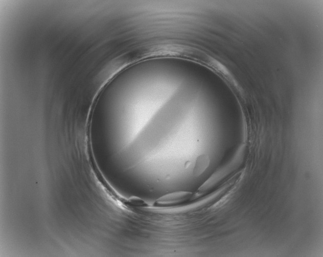 X0000066020802200603031248