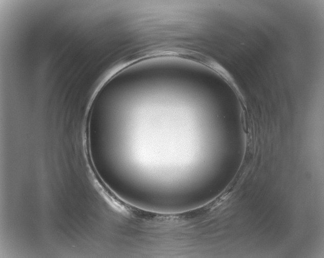 X0000066020811200603031247
