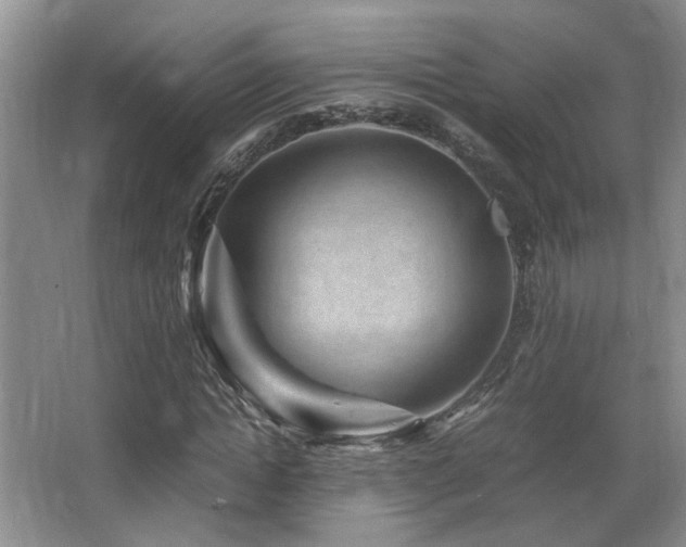 X0000066020822200603031247