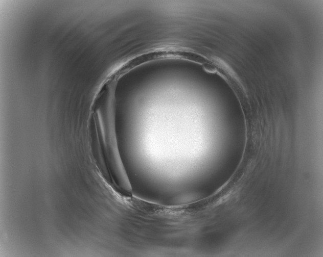 X0000066020831200603031247