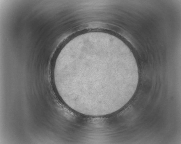 X0000066020832200603031247