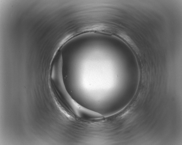 X0000066020850200603031247