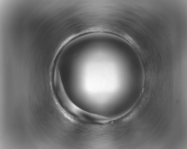 X0000066020854200603031247