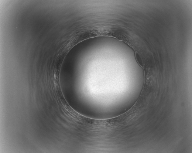X0000066020866200603031246
