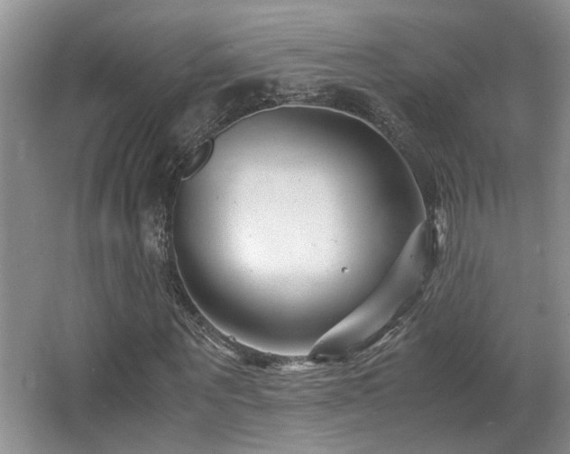 X0000066020867200603031246