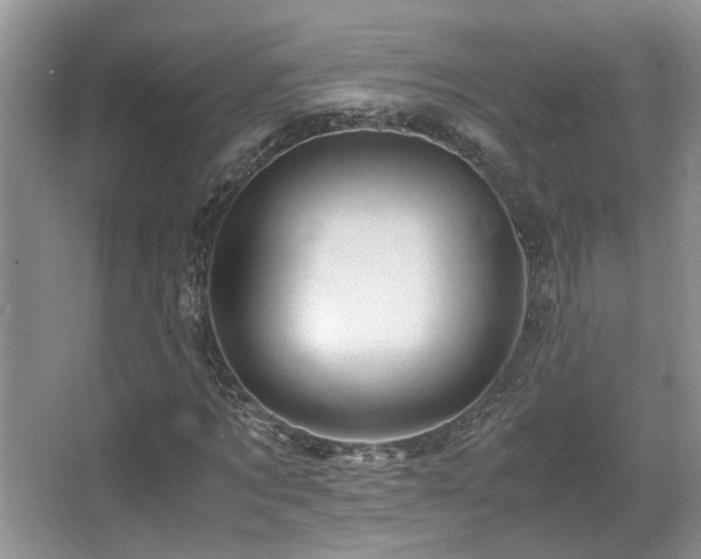 X0000066020869200603031246