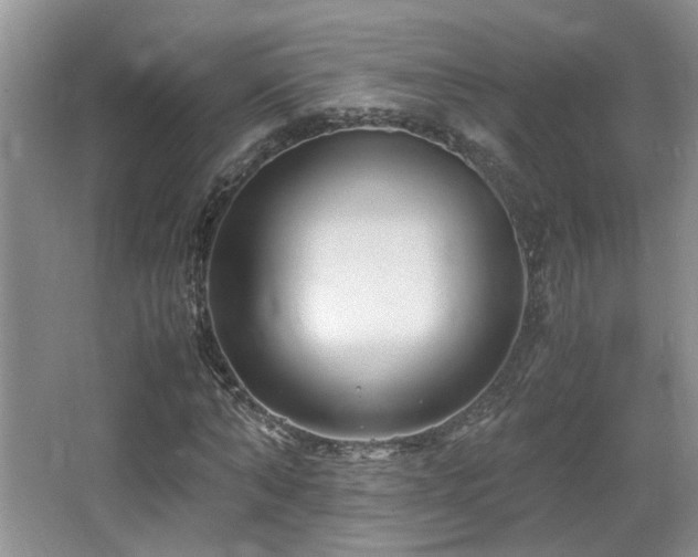 X0000066020870200603031246