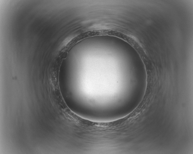 X0000066020871200603031246