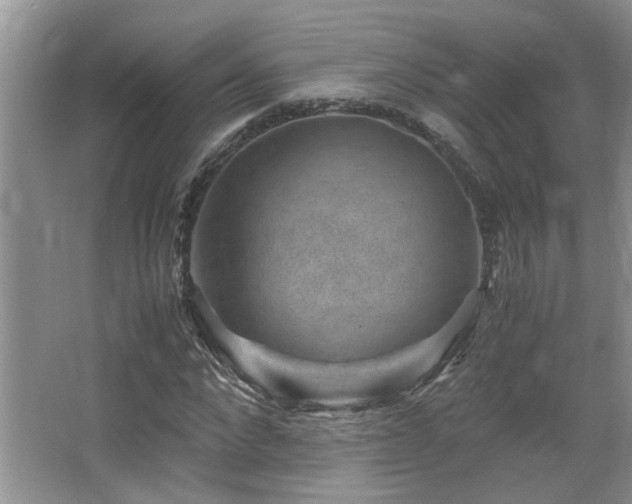 X0000066020872200603031246