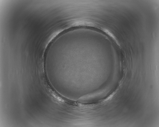 X0000066020877200603031246