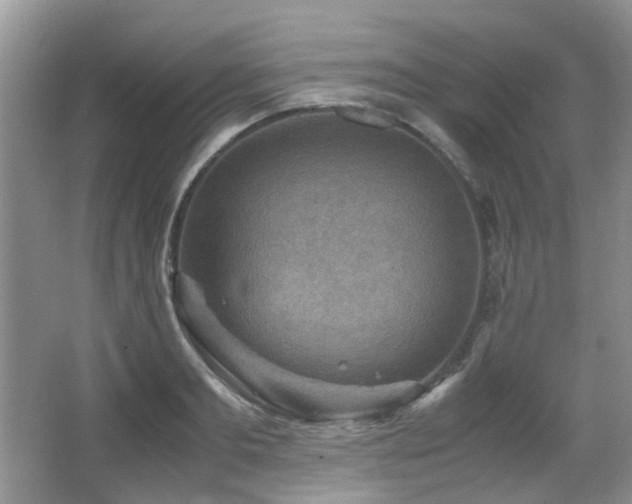 X0000066020893200603031246
