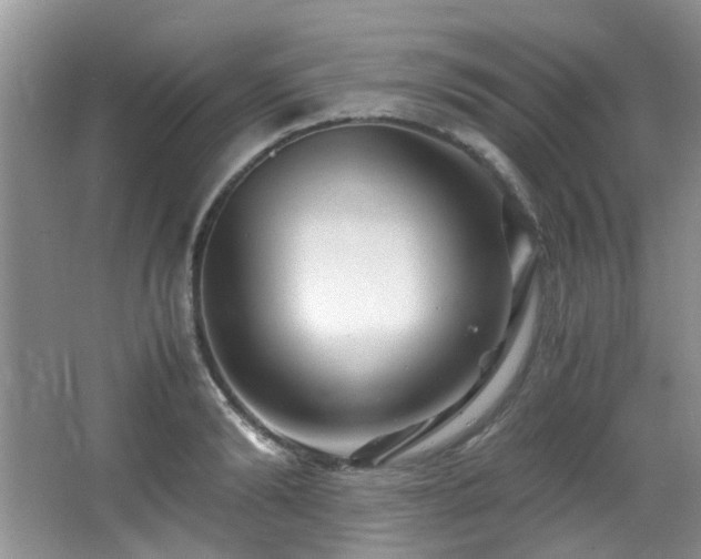 X0000066020894200603031246